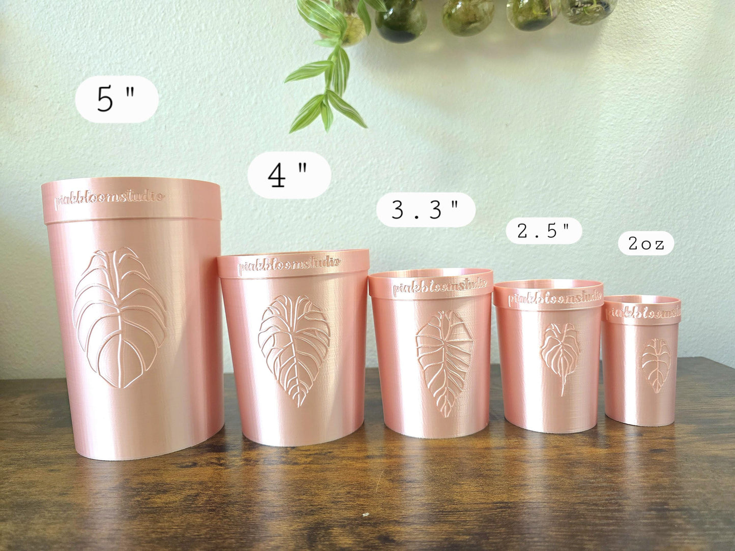 2.5" Self-Watering Cup