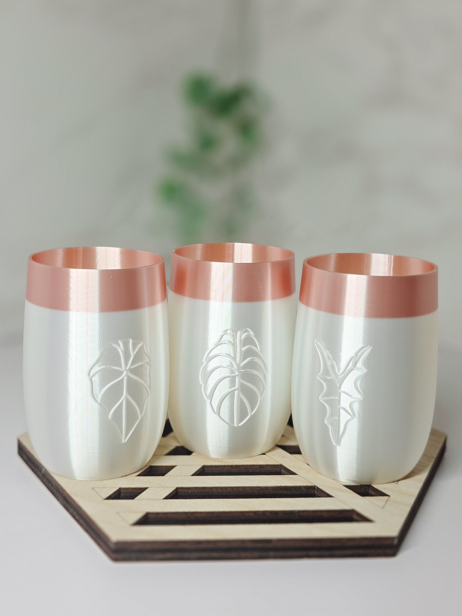 Elegance Self-Watering Alocasia Stenciled Cups