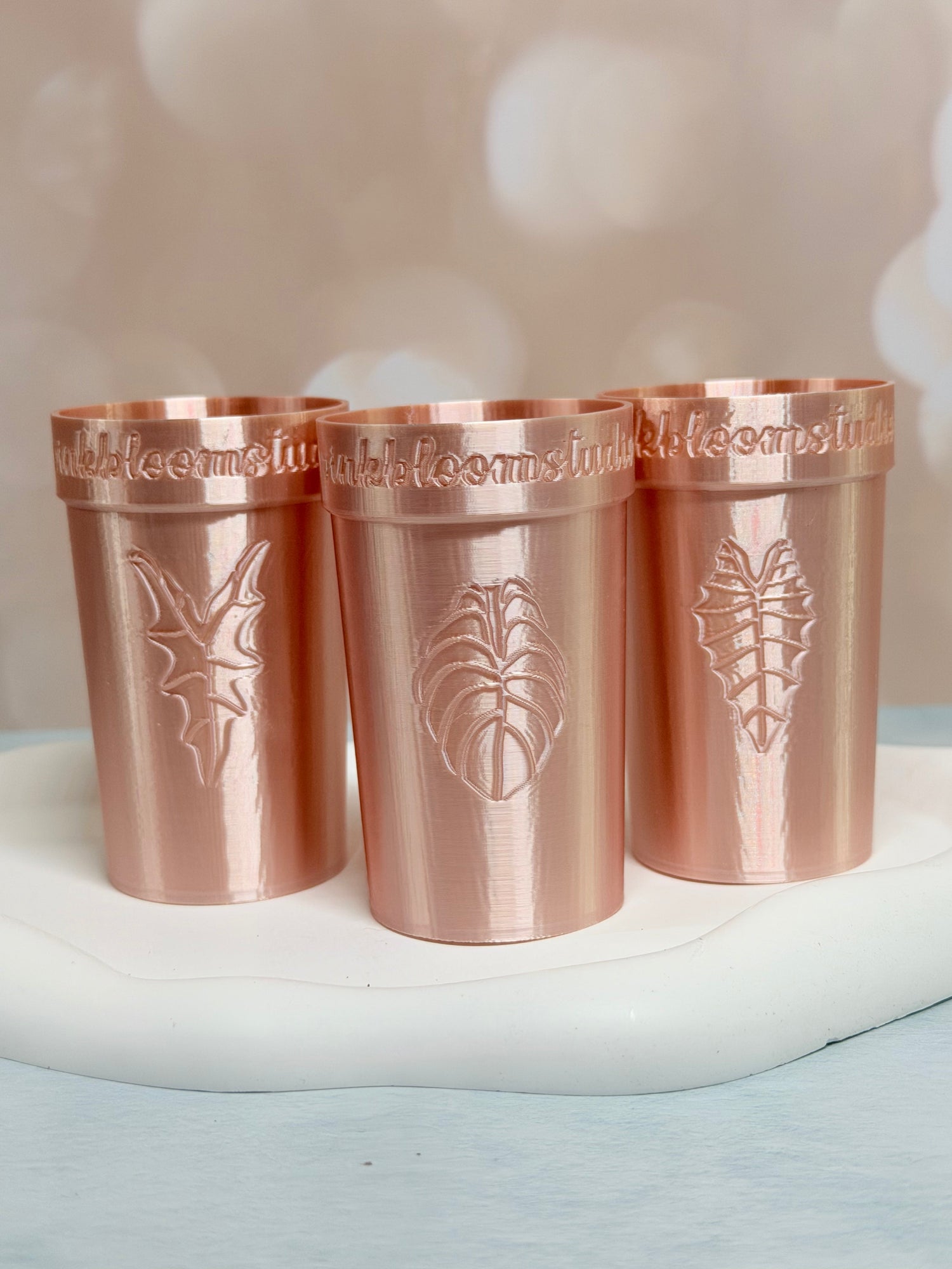 Self-Watering Alocasia Stenciled Cups (Custom Text)