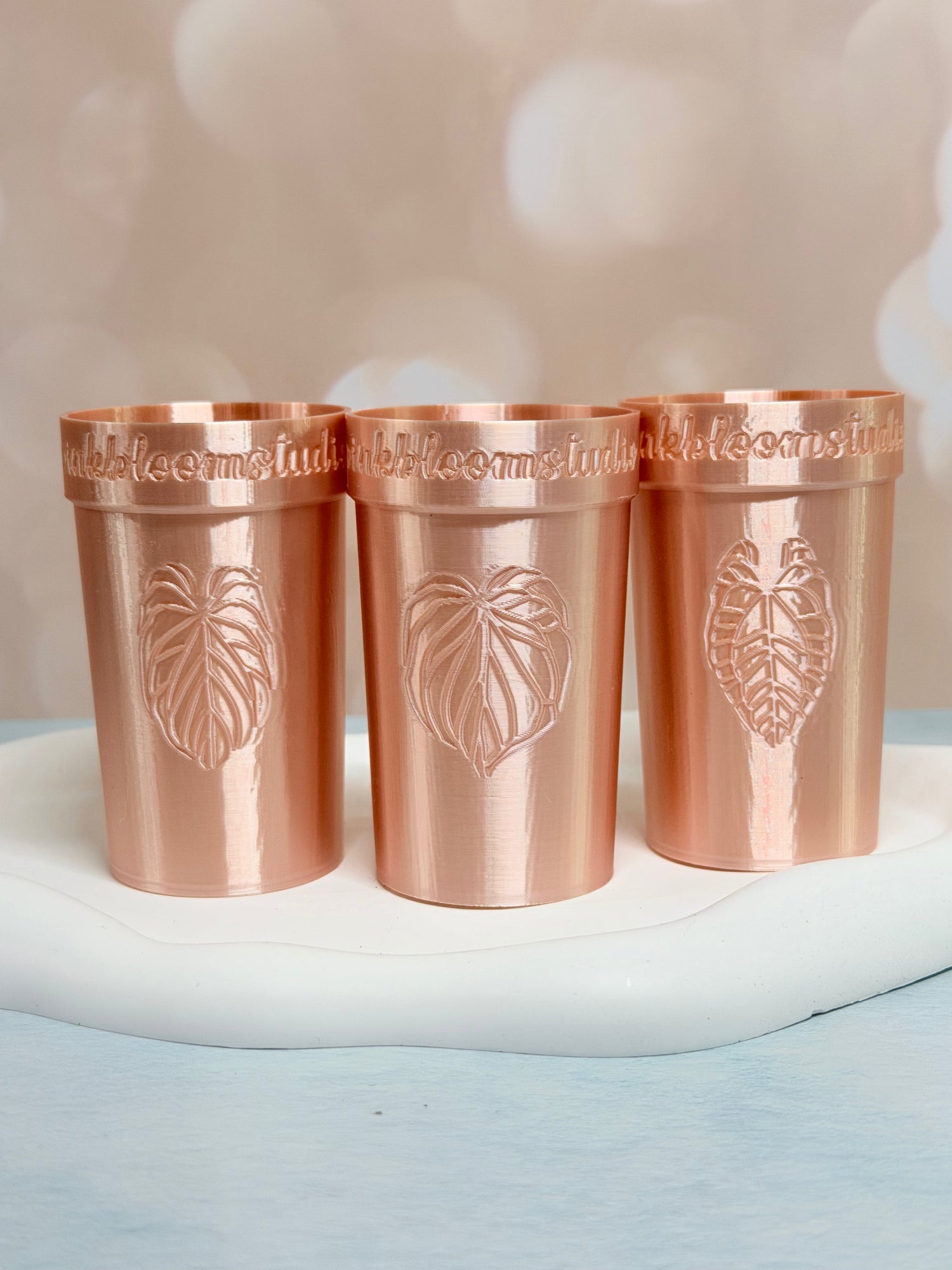 Self-Watering Anthurium Stenciled Cups (Custom Text)