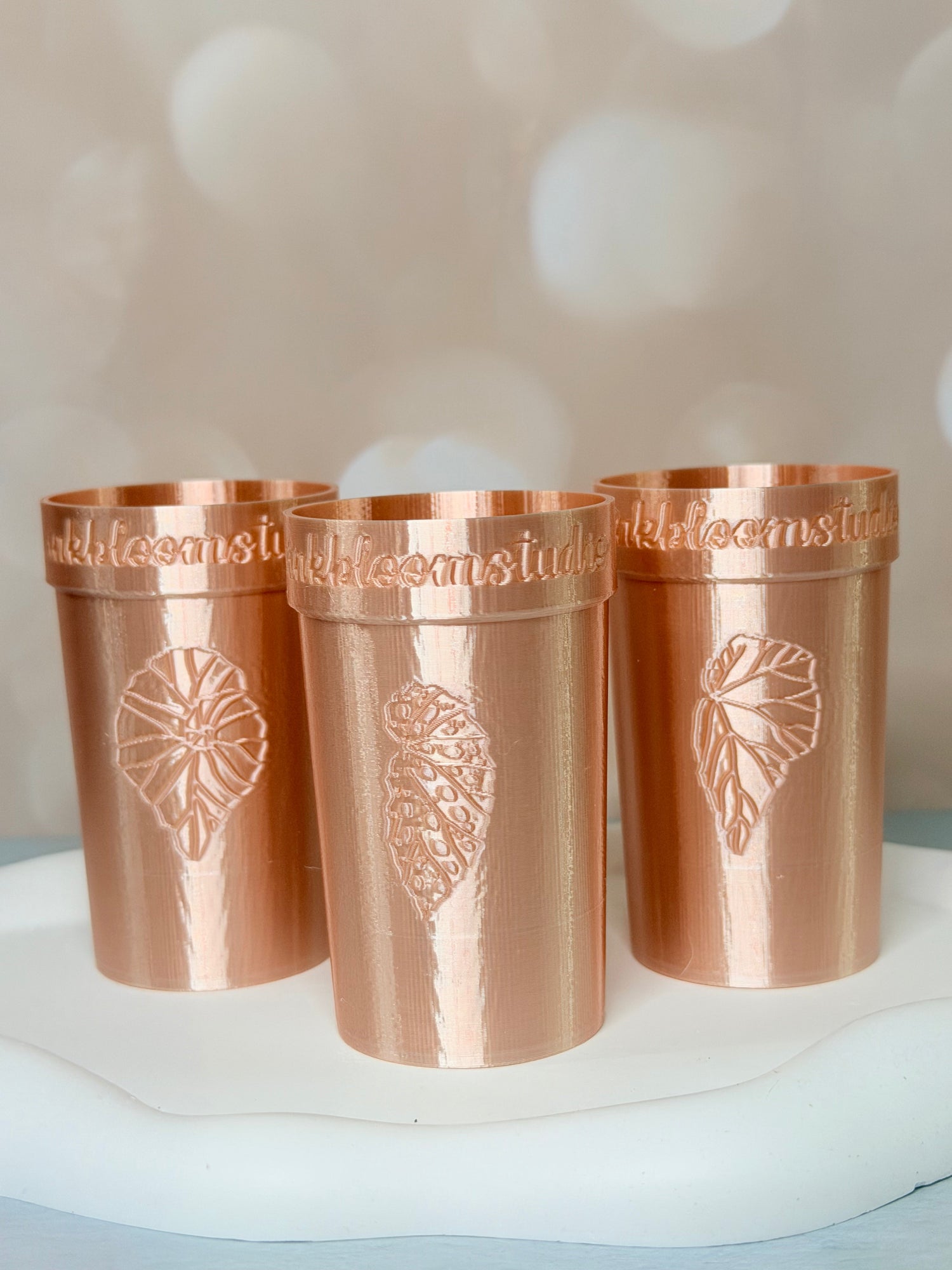 Self-Watering Begonia Stenciled Cups (Custom Text)