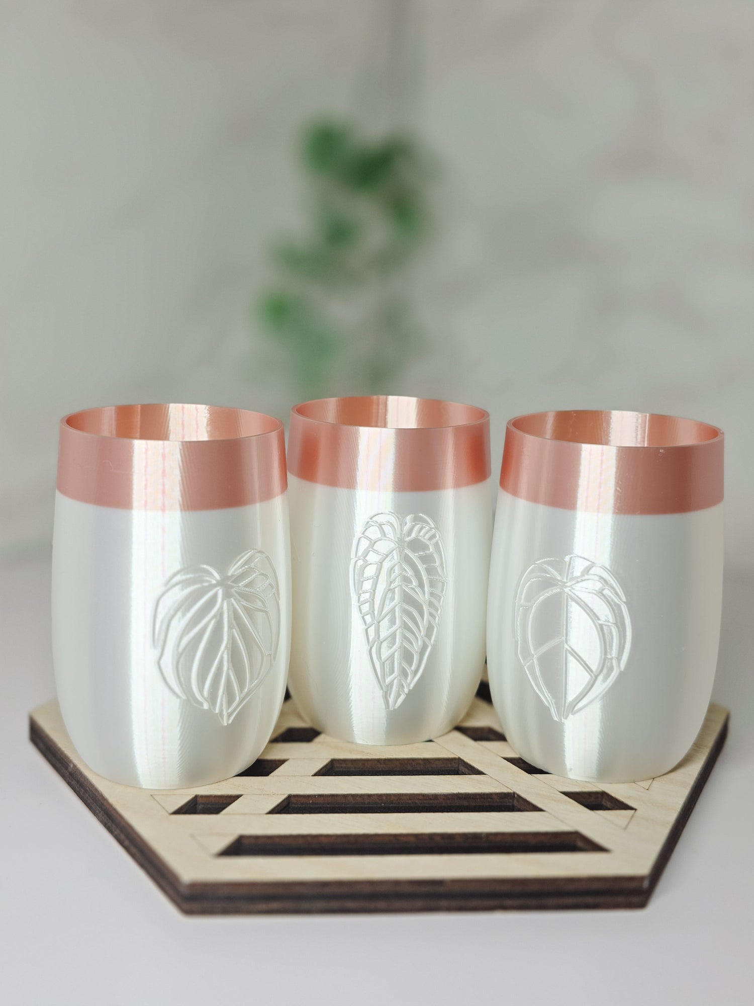 Elegance Self-Watering Anthurium Stenciled Cups