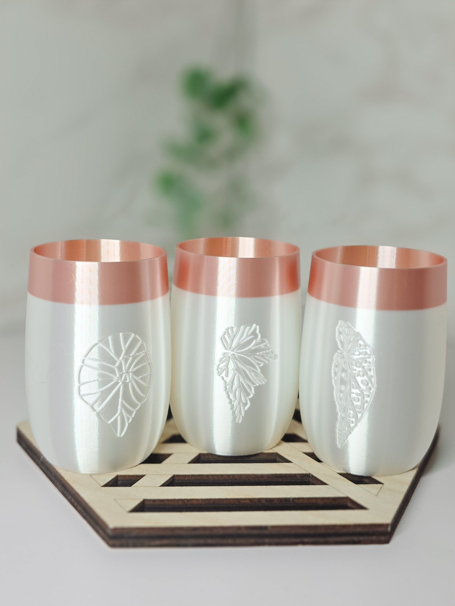 Elegance Self-Watering Begonia Stenciled Cups