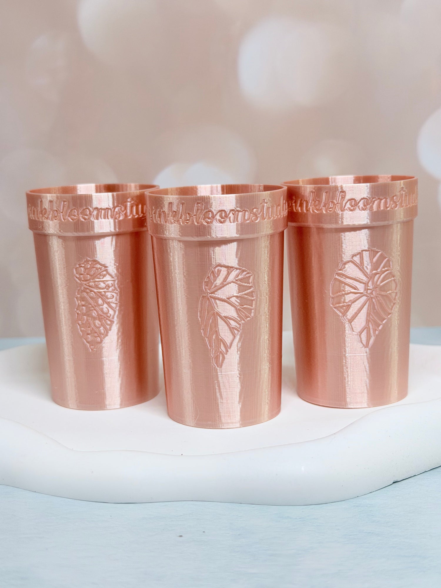 Self-Watering Begonia Stenciled Cups