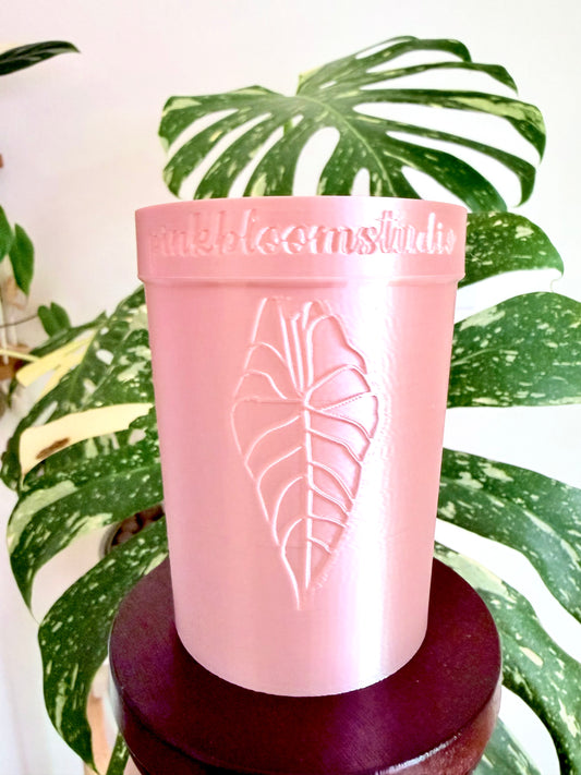 2.5" Self-Watering Cup