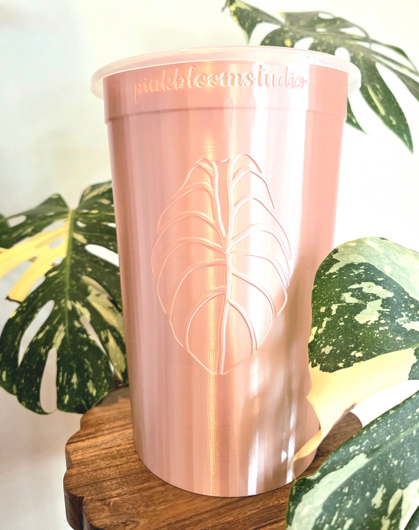 6" Anthurium Stenciled Self-Watering Cup