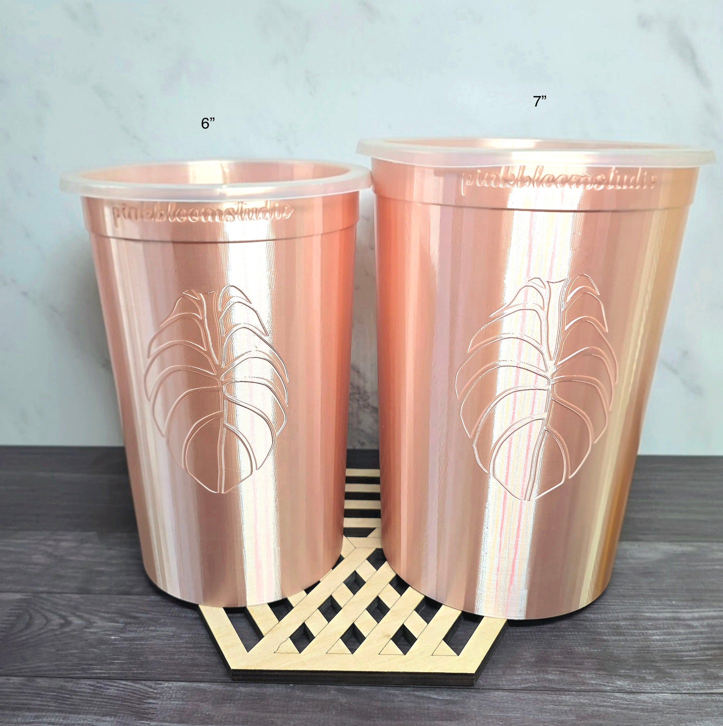 7" Anthurium Stenciled Self-Watering Cup