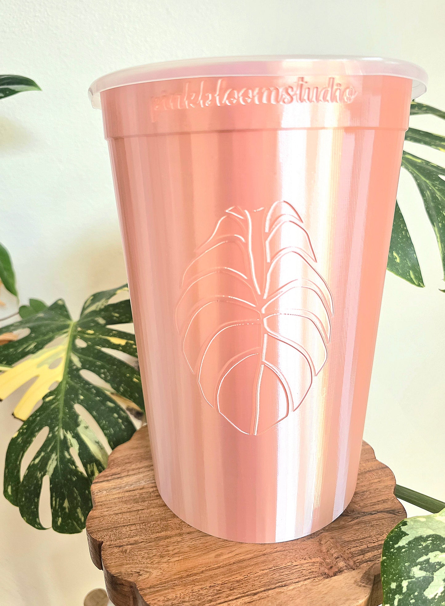7" Anthurium Stenciled Self-Watering Cup