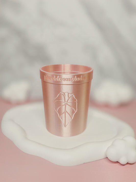 3.3" Anthurium Stenciled Self-Watering Cup