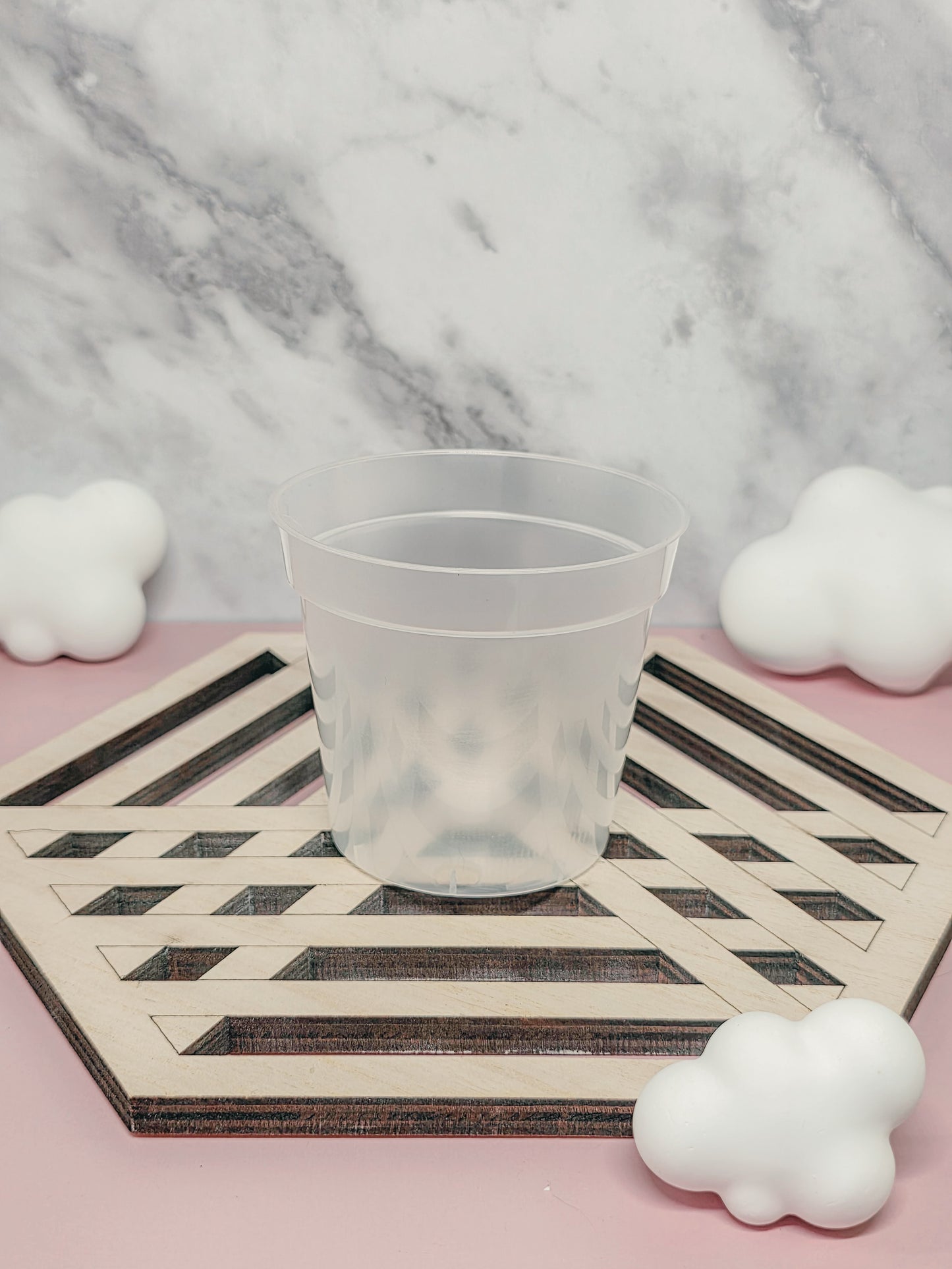 3.3" Alocasia Stenciled Self-Watering Cup (Custom Text)