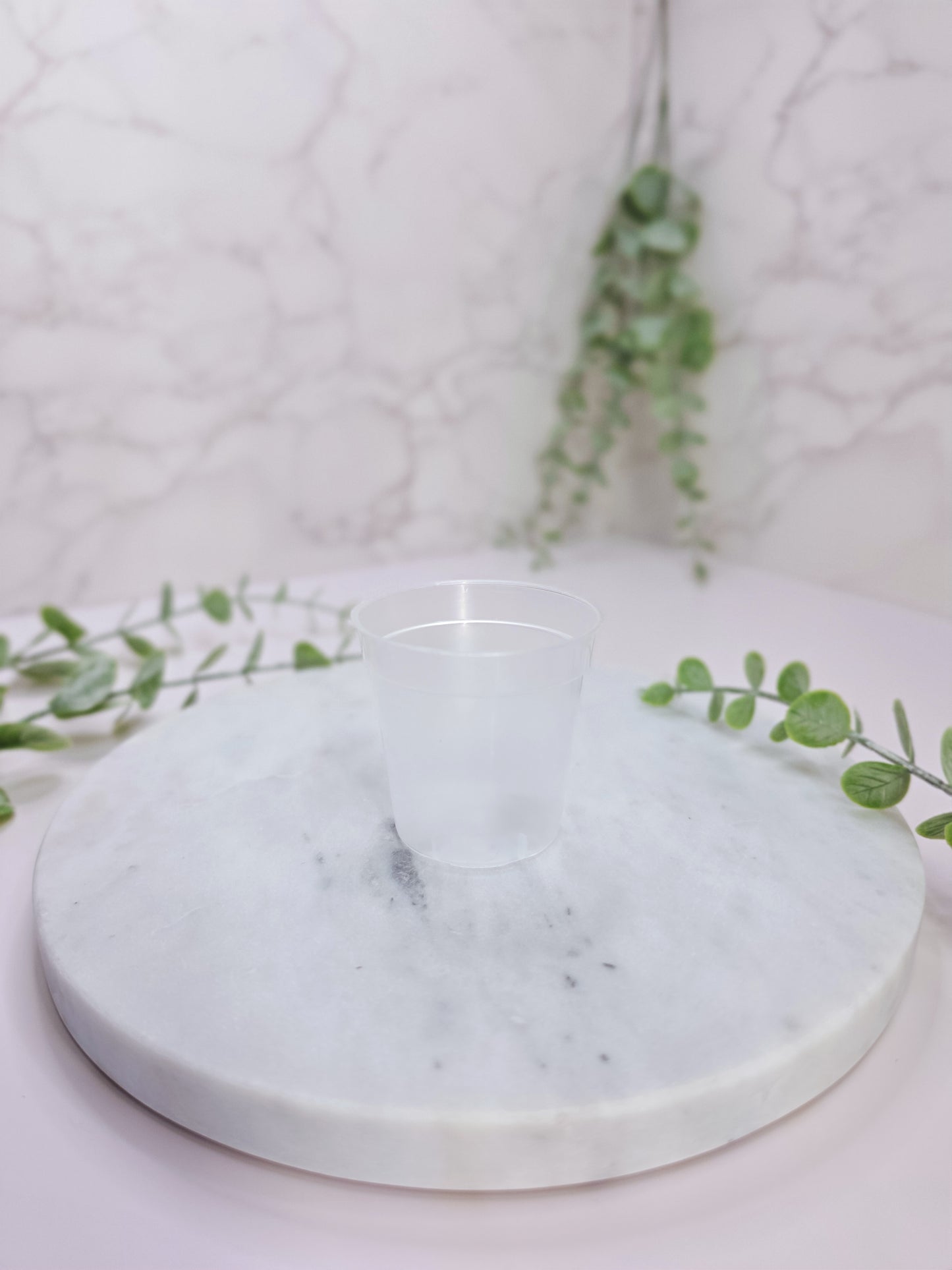 2" "Modern" Begonia Stenciled Self-Watering Cup