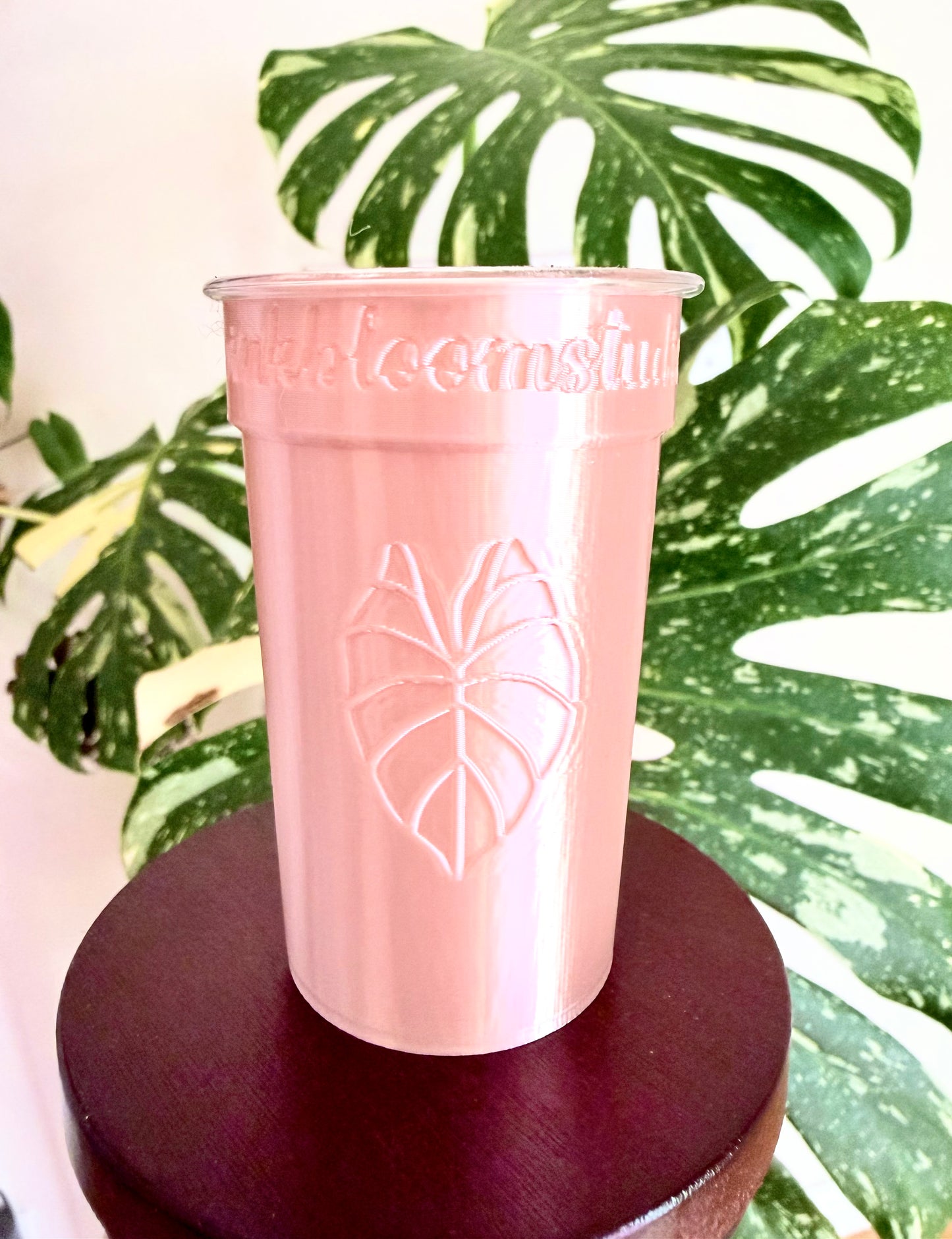 2oz Self-Watering Cup