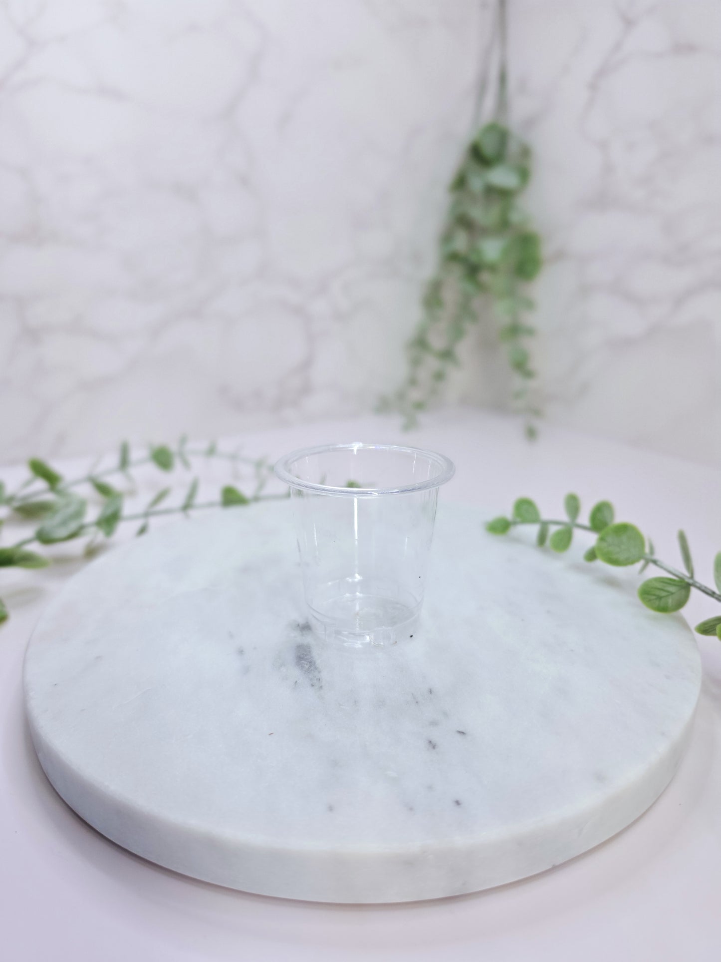 2oz "Modern" Anthurium Stenciled Self-Watering Cup