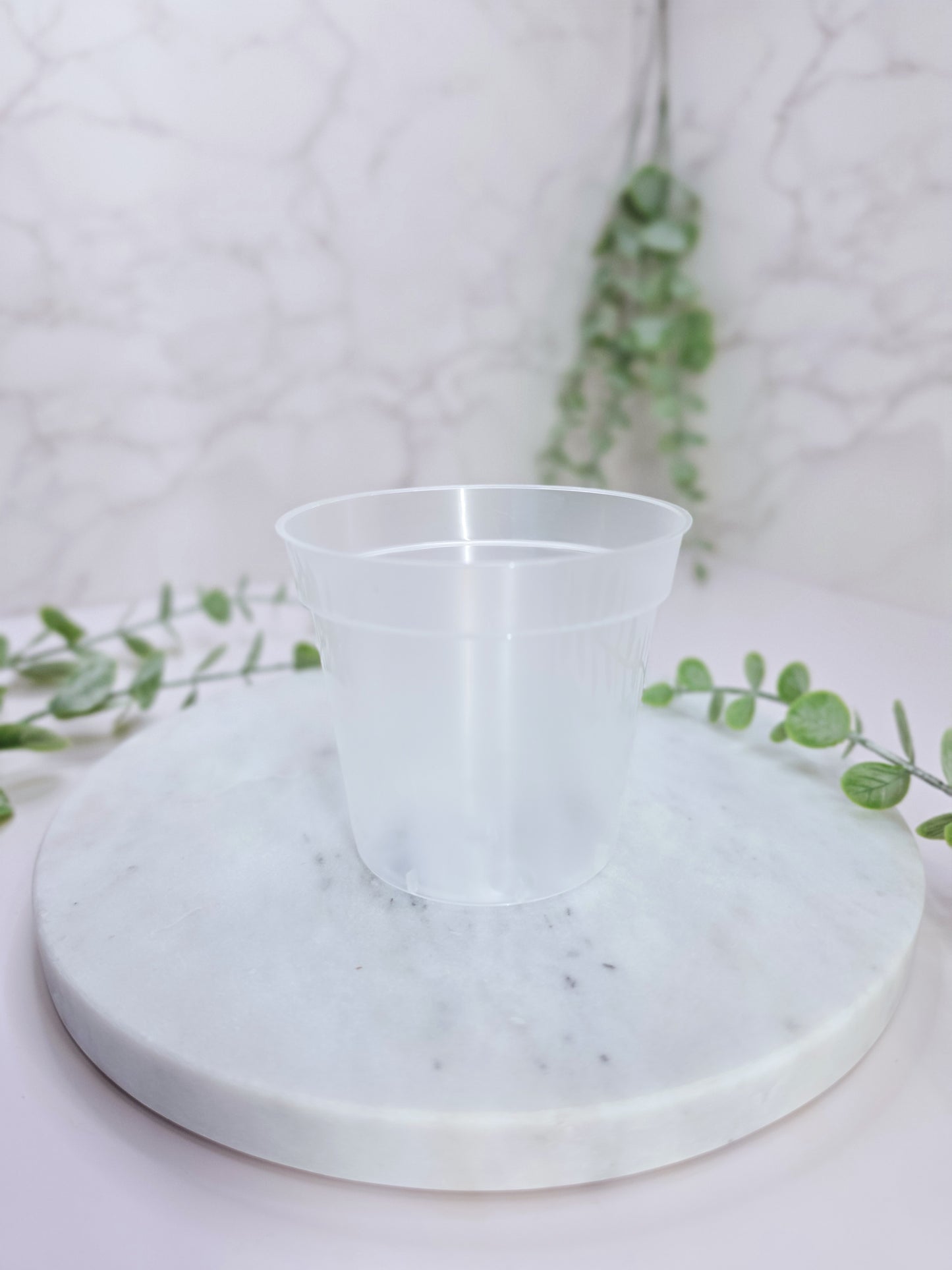 3.3" "Modern" Anthurium Stenciled Self-Watering Cup
