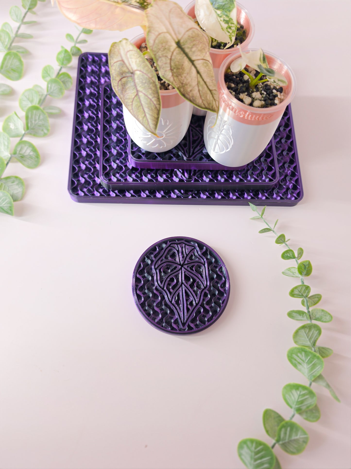 Round Humidity/Drip Tray