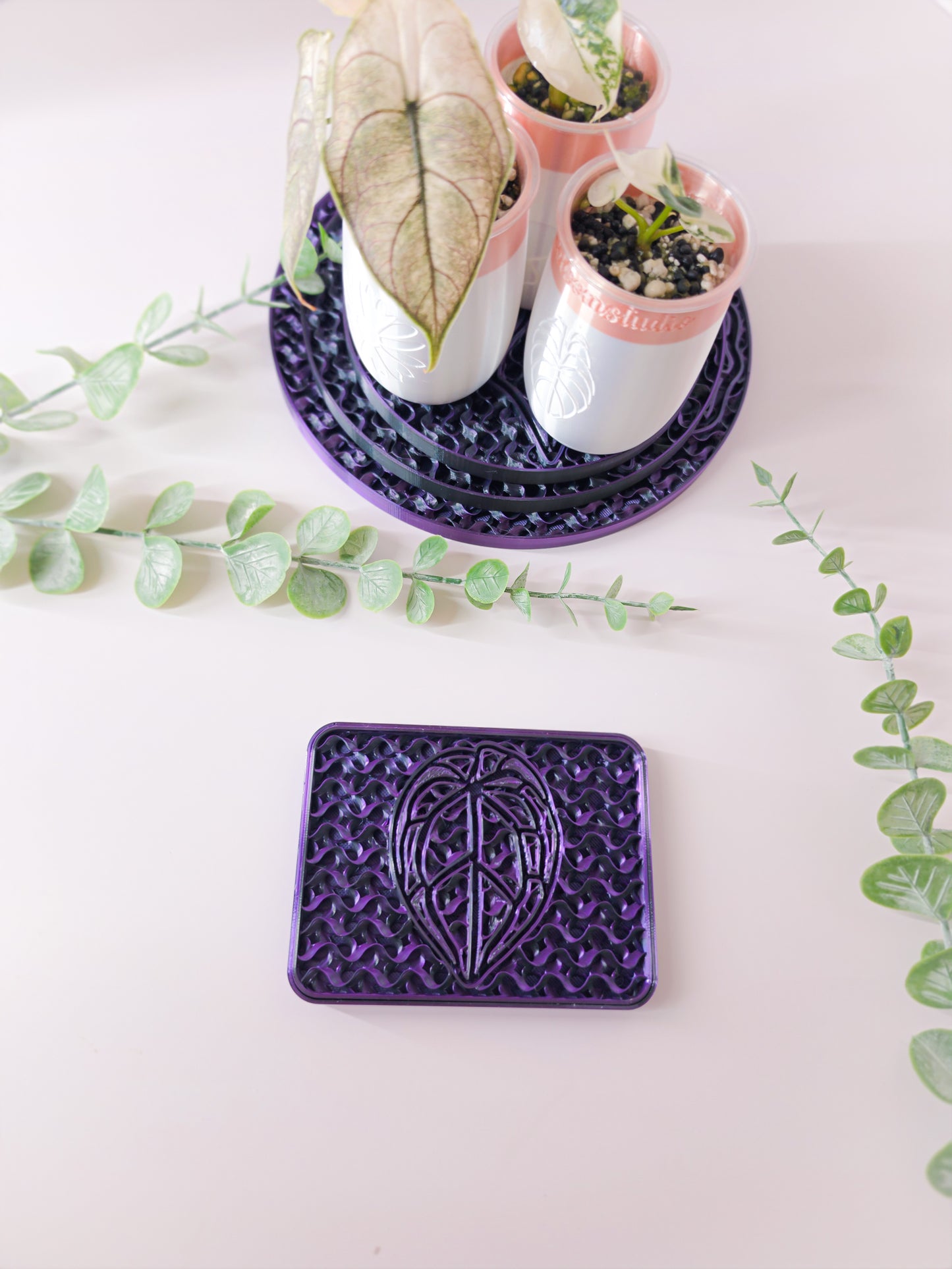 Rectangular Humidity/Drip Tray