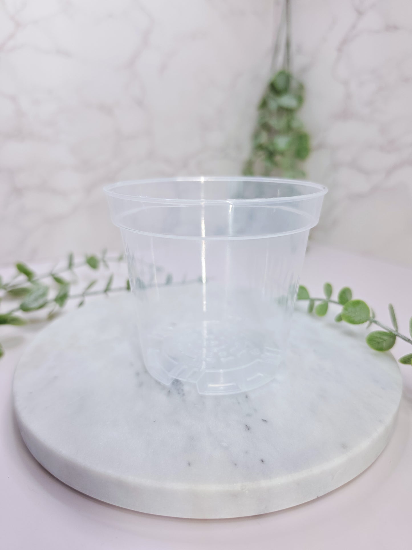 4" "Modern" Anthurium Stenciled Self-Watering Cup