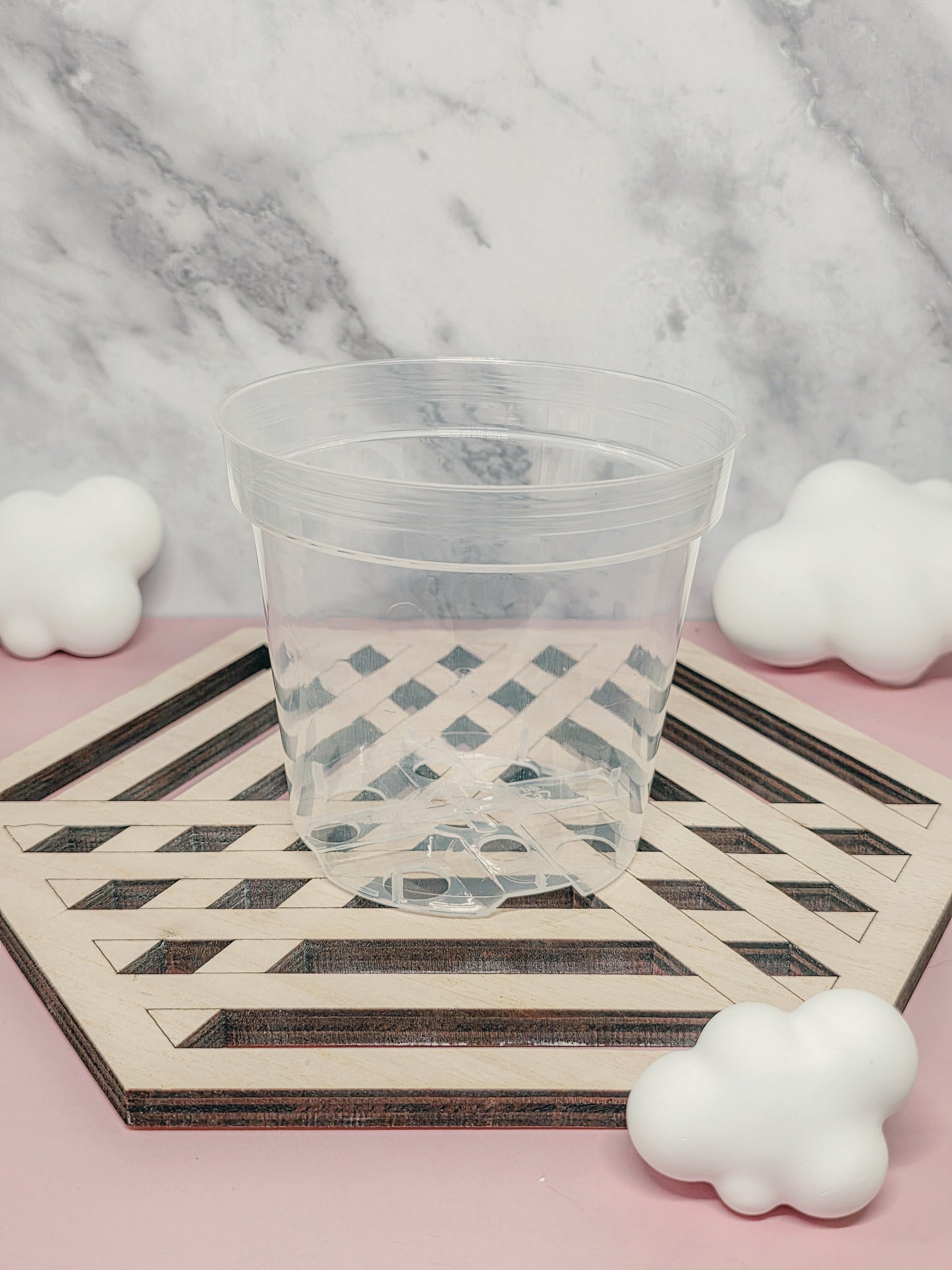 4" "Elegance" Alocasia Stenciled Self-Watering Cup