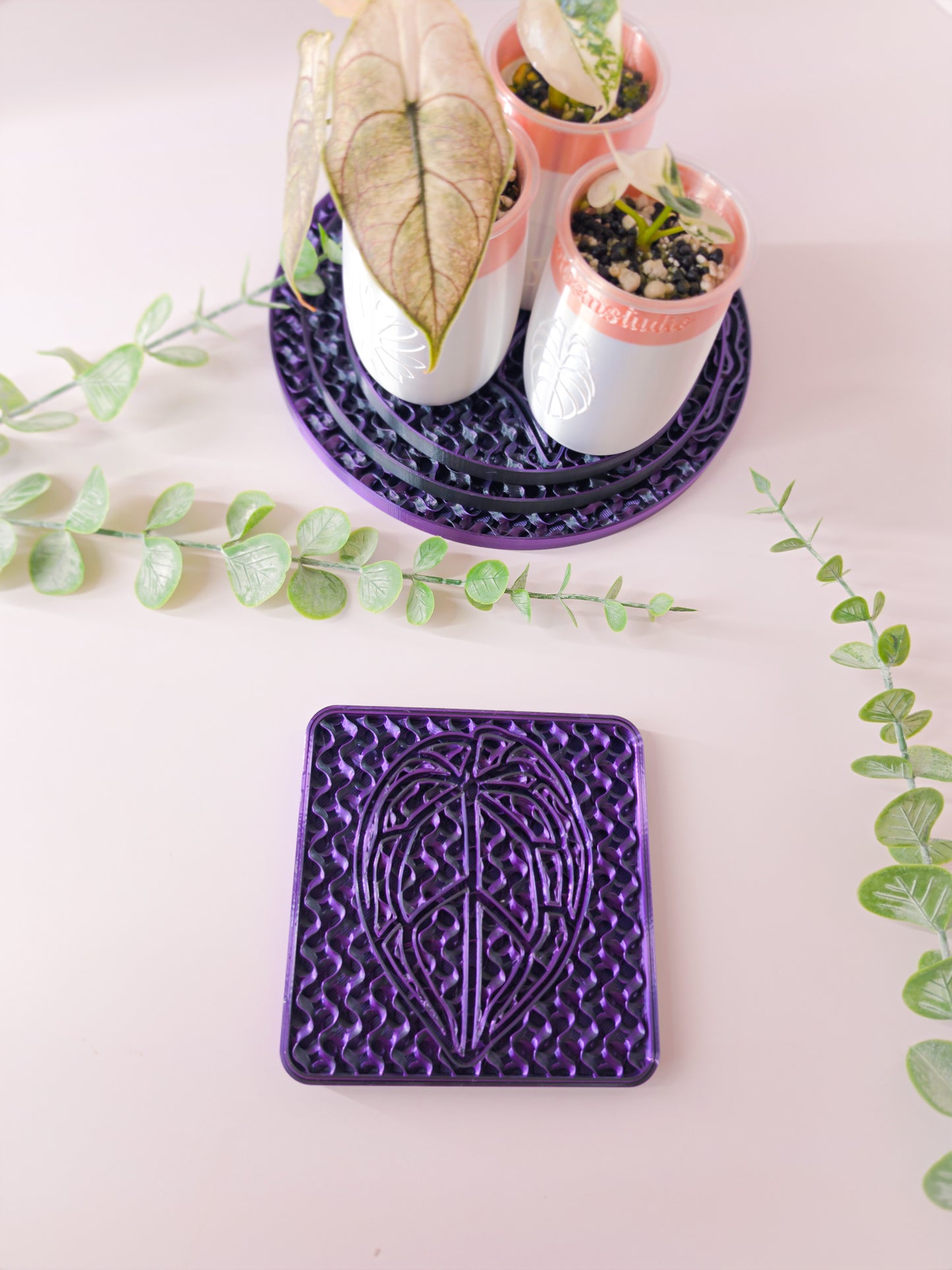 Rectangular Humidity/Drip Tray