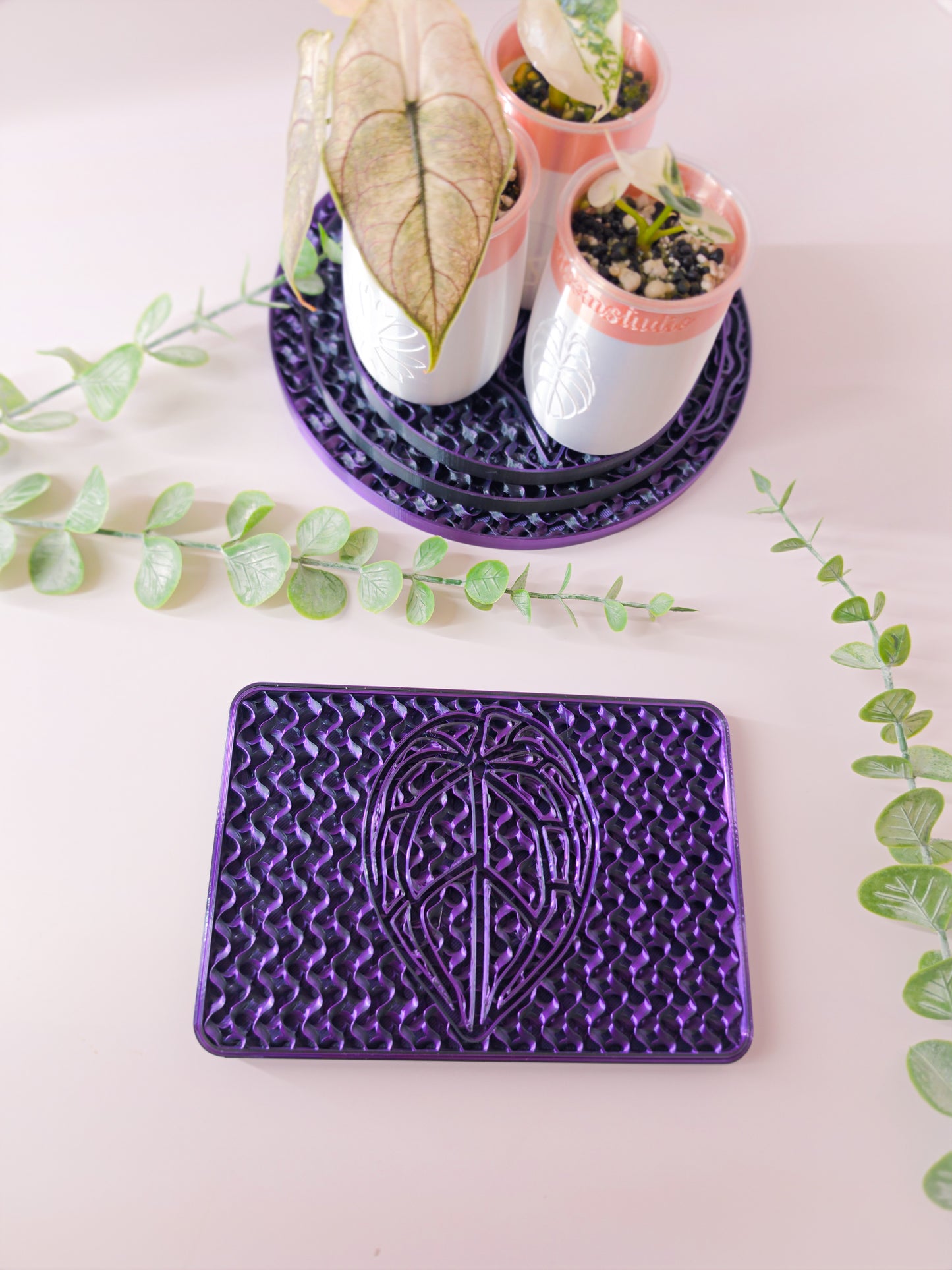 Rectangular Humidity/Drip Tray