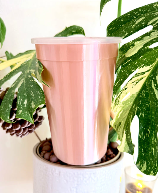 5" Self-Watering Cup