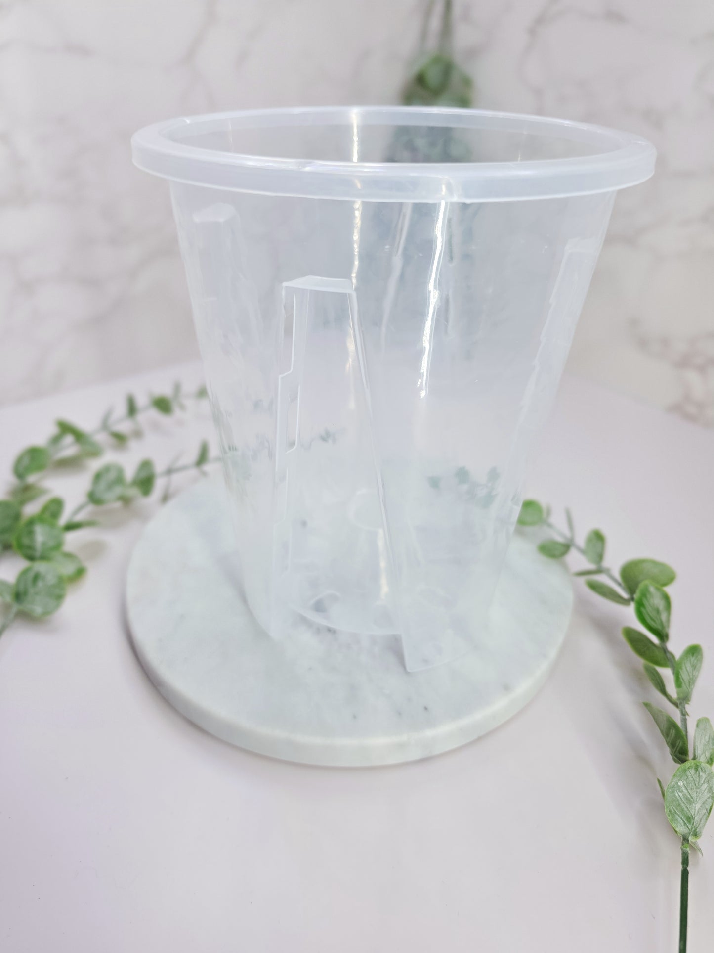 6" "Modern" Anthurium Stenciled Self-Watering Cup