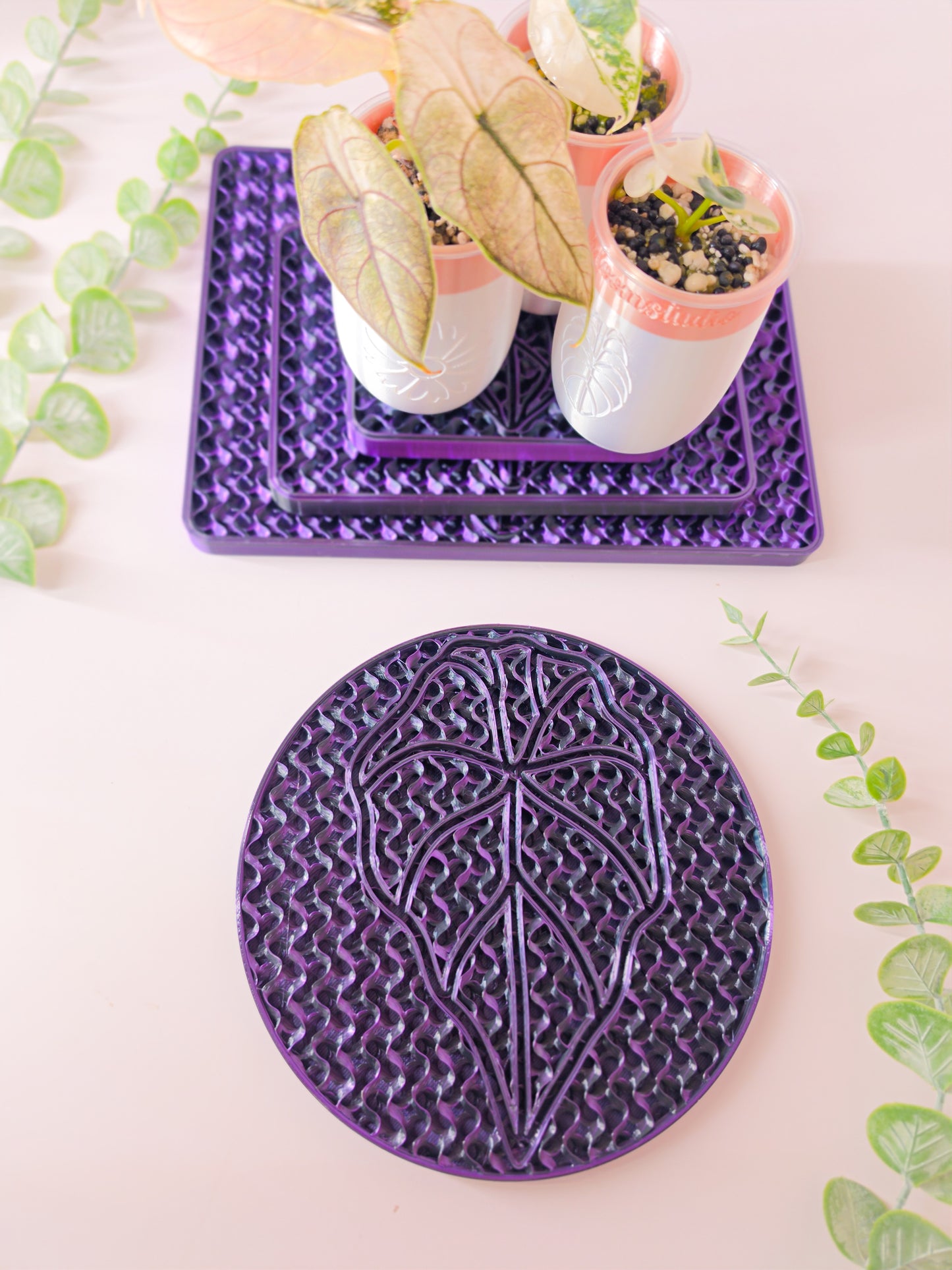 Round Humidity/Drip Tray