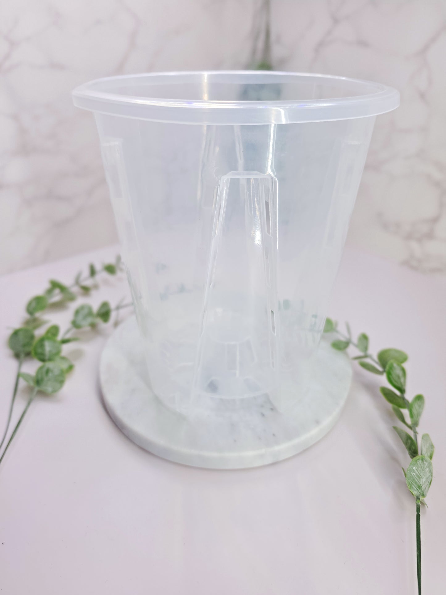 7" "Modern" Begonia Stenciled Self-Watering Cup