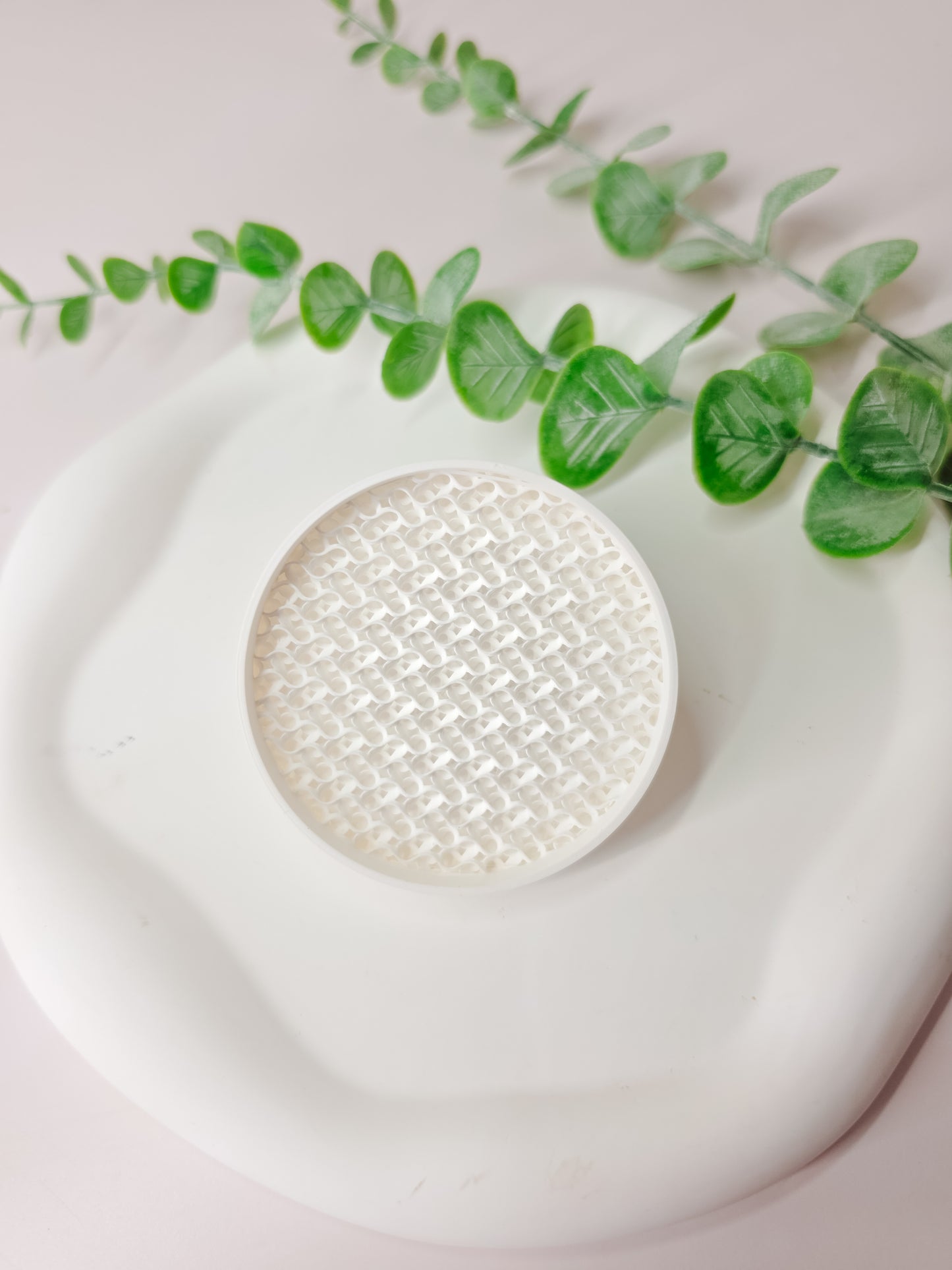 Corm Caddy Tray Insert