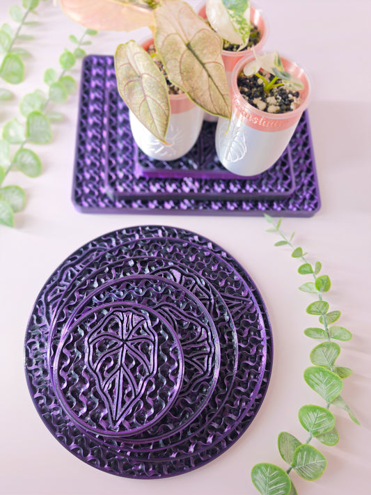 Round Humidity/Drip Tray