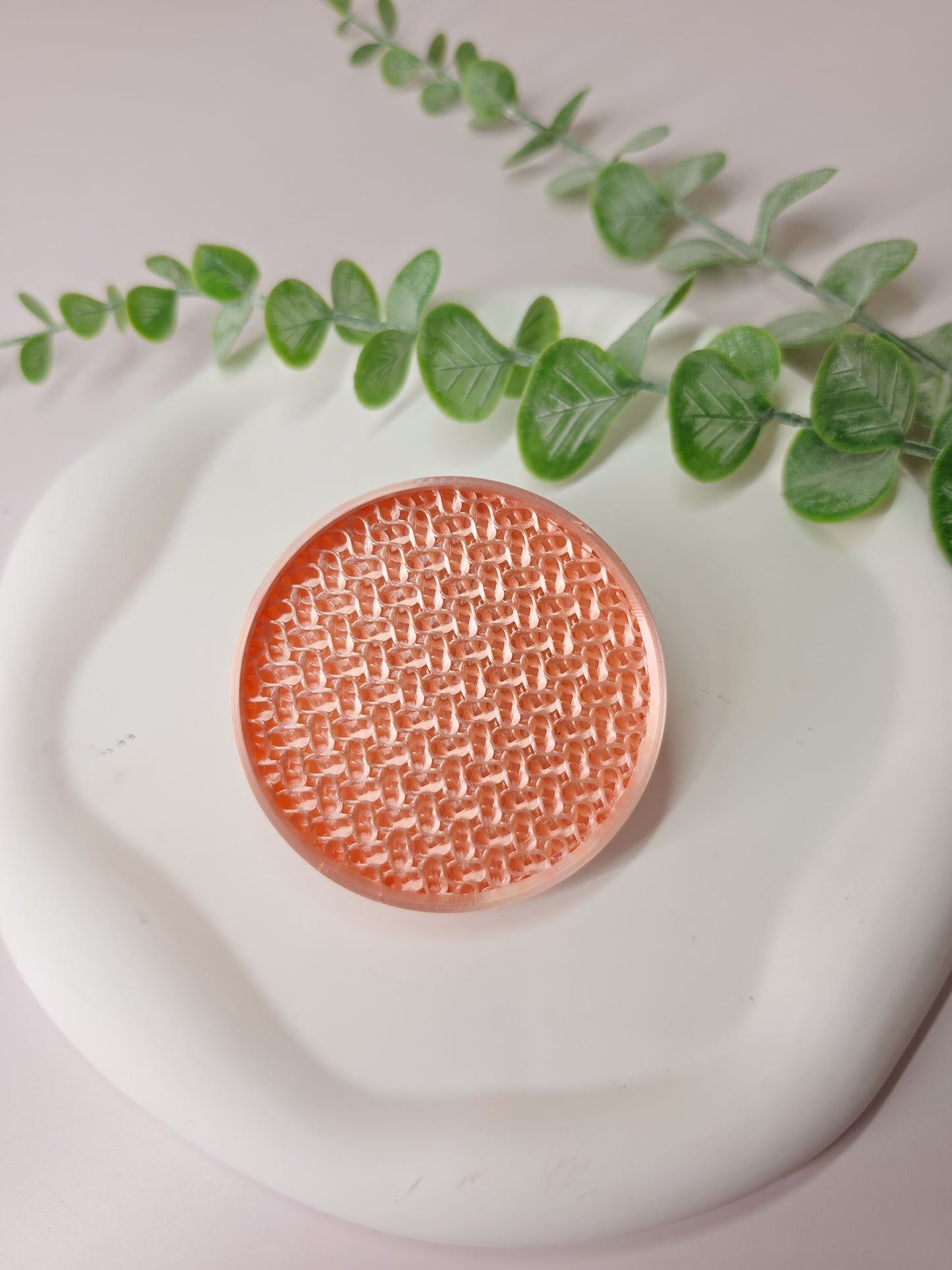 Corm Caddy Tray Insert