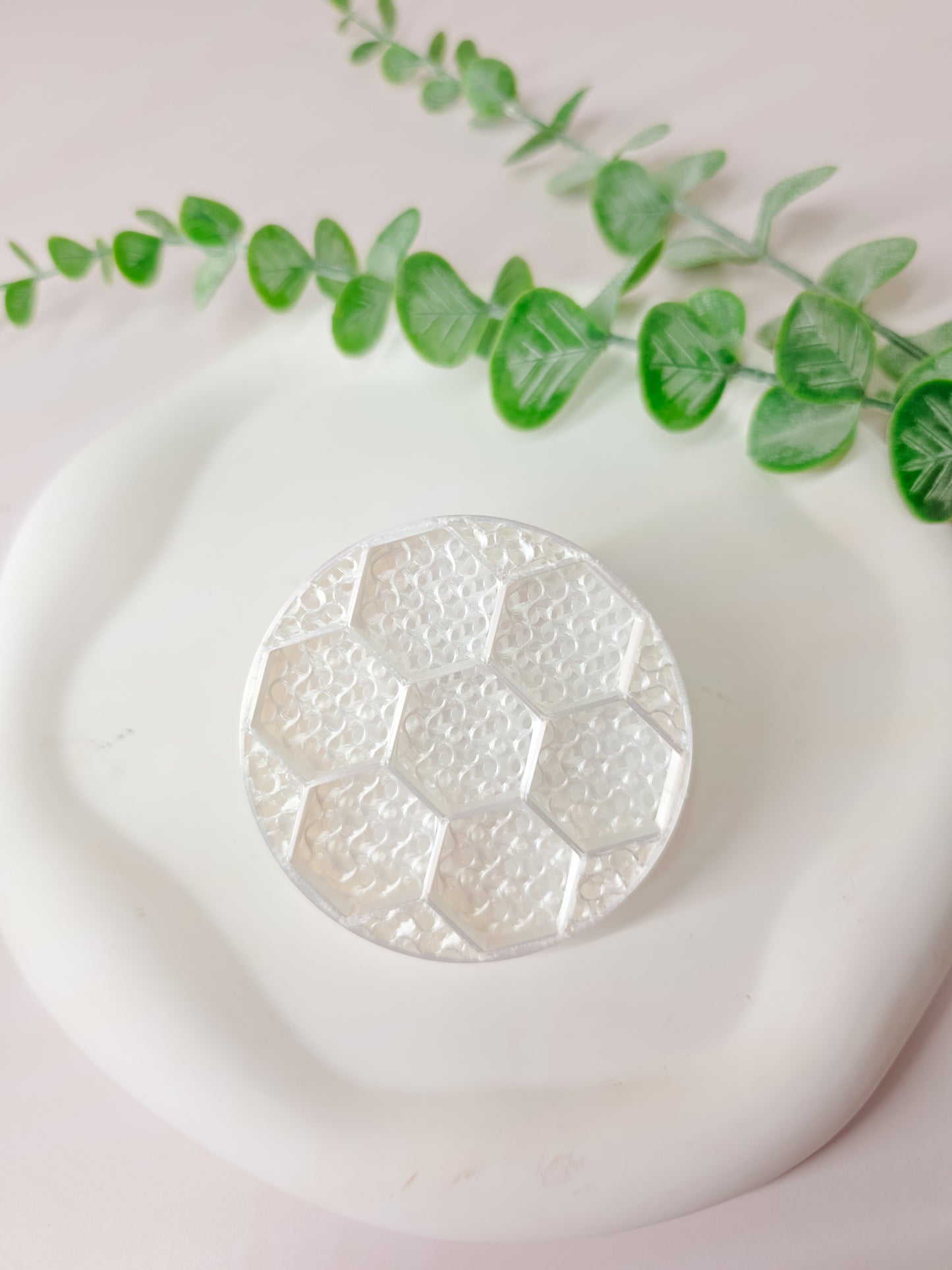 Corm Caddy Tray Insert