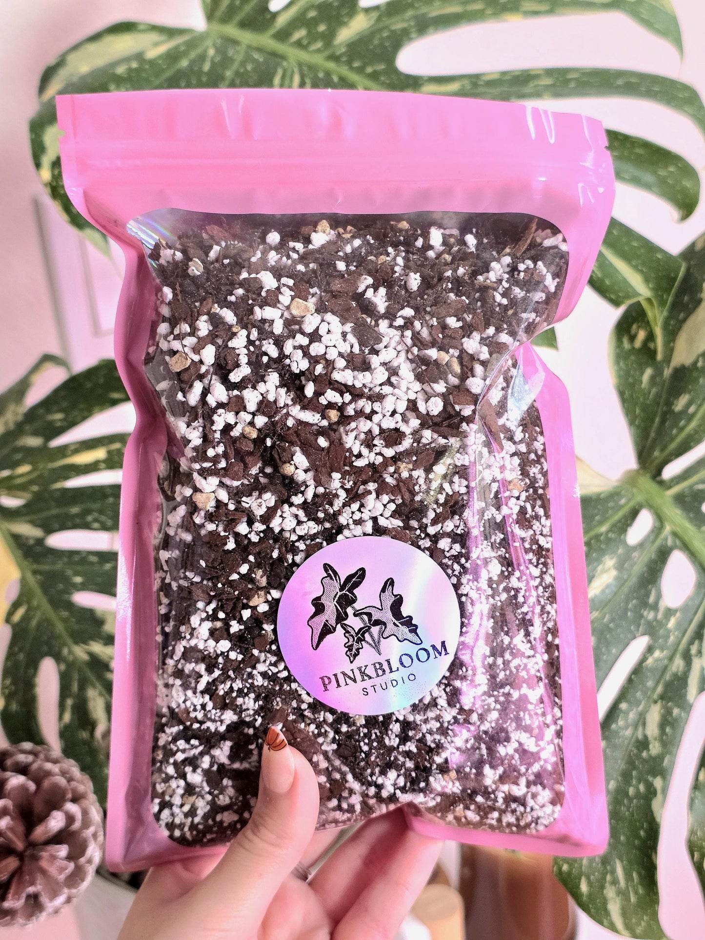 PREMIUM ALOCASIA SUBSTRATE | Soilless | Semi-Hydro