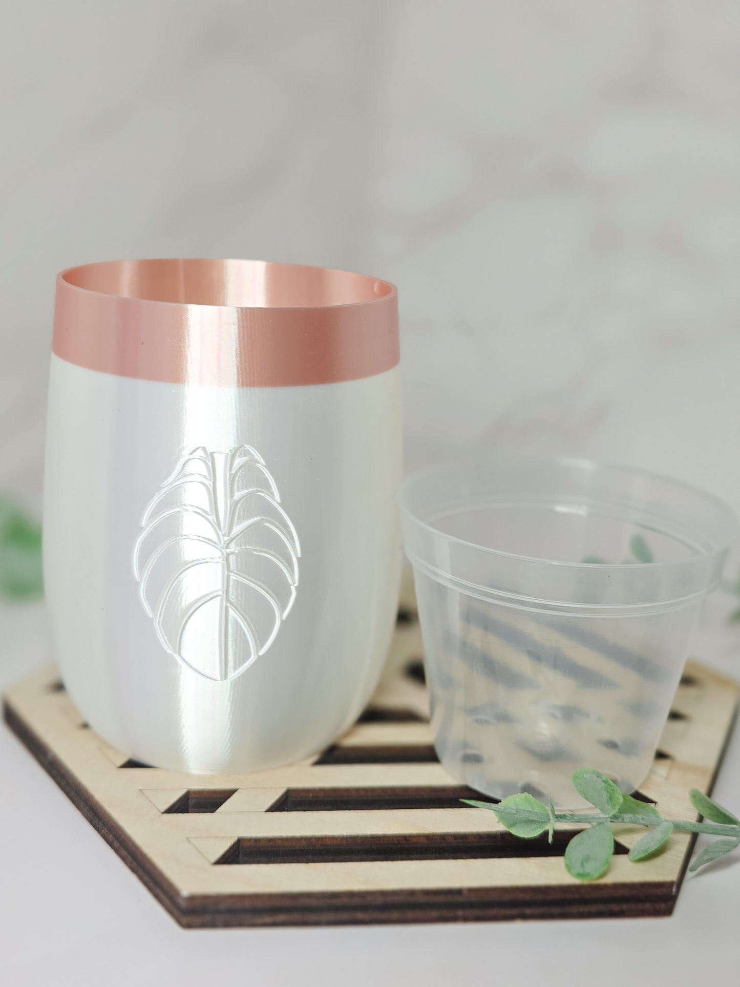 2.5" "Elegance" Plain Self-Watering Cup