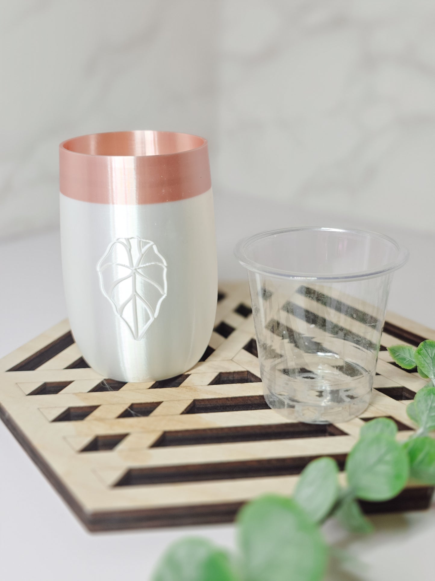 2oz "Elegance" Miscellaneous Stenciled Self-Watering Cup