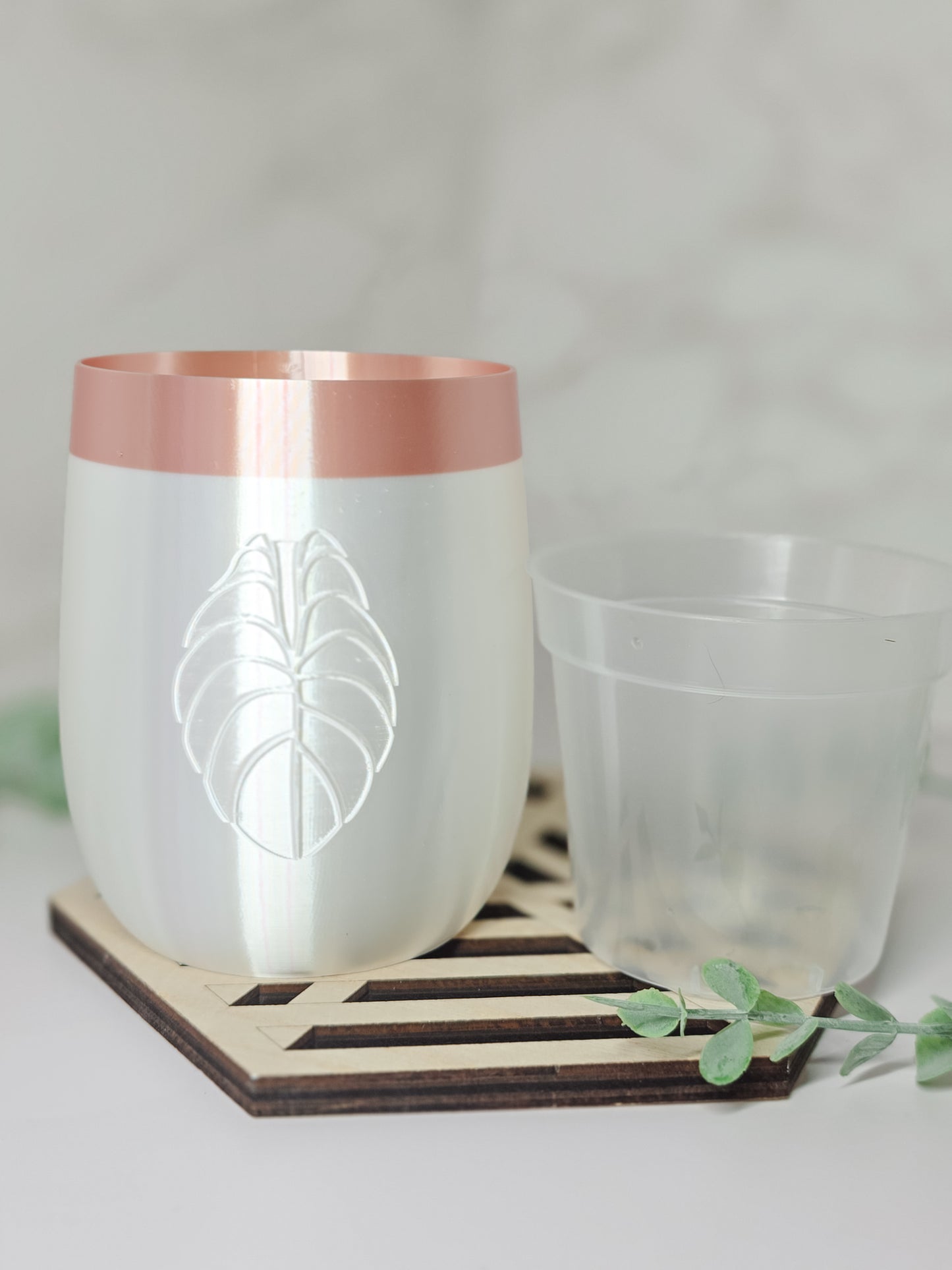 3.3" "Elegance" Alocasia Stenciled Self-Watering Cup