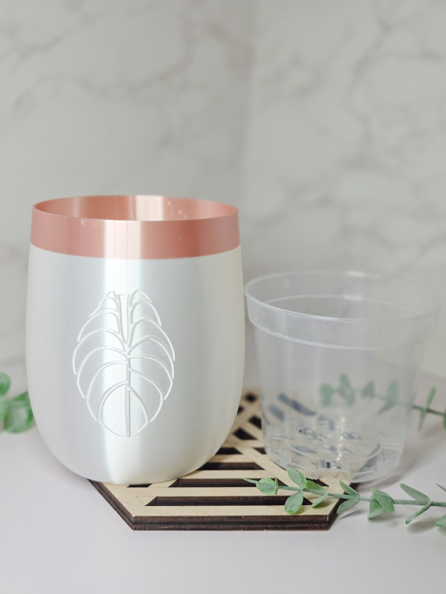 4" "Elegance" Alocasia Stenciled Self-Watering Cup
