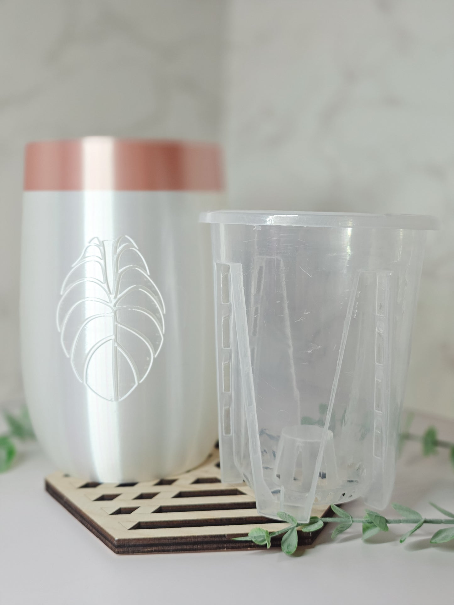 5" "Elegance" Miscellaneous Stenciled Self-Watering Cup